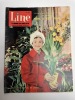 Line, le journal des chics filles. Hebdomadaire N°298 - Novembre 1960. DARGAUD G. ; Venet M. ; Goujon N. ; Peigne P. (Comité de direction)