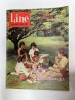 Line, le journal des chics filles. Hebdomadaire N°339 - septembre 1961. DARGAUD G. ; Venet M. ; Goujon N. ; Peigne P. (Comité de direction)