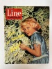 Line, le journal des chics filles. Hebdomadaire N°405 - Décembre 1962. DARGAUD G. ; Venet M. ; Goujon N. ; Peigne P. (Comité de direction)