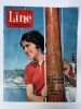 Line, le journal des chics filles. Hebdomadaire N°335 - Août 1961. DARGAUD G. ; Venet M. ; Goujon N. ; Peigne P. (Comité de direction)