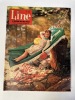 Line, le journal des chics filles. Hebdomadaire N°382 - Juillet 1962. DARGAUD G. ; Venet M. ; Goujon N. ; Peigne P. (Comité de direction)