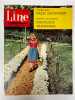 Line, le journal des chics filles  Hebdomadaire N°425 - Mai 1963. DARGAUD G. ; Venet M. ; Goujon N. ; Peigne P. (Comité de direction)