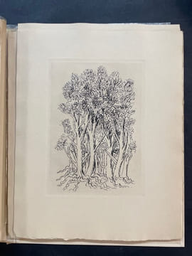 La verte Hélène. Devaux Pierre