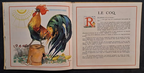 Le Buffon des enfants. I - Les oiseaux de chez nous. Illustré par Félix Lorioux. [Lorioux, Félix] ROY, Bernard