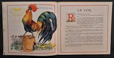 Le Buffon des enfants. I - Les oiseaux de chez nous. Illustré par Félix Lorioux
