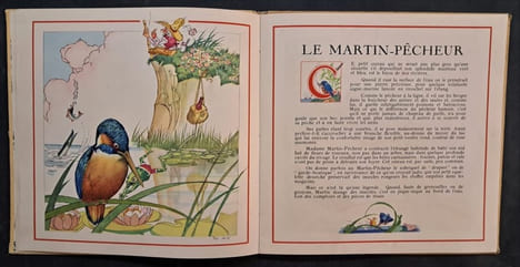 Le Buffon des enfants. I - Les oiseaux de chez nous. Illustré par Félix Lorioux. [Lorioux, Félix] ROY, Bernard