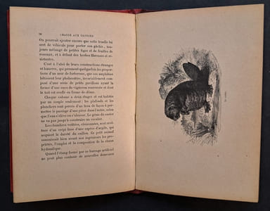 Chasse aux castors dans l'Amérique russe, suivie de : Chasse aux loutres. 10e édition