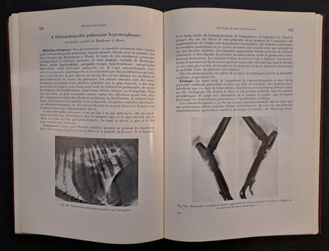 Traité de pathologie chirurgicale spéciale vétérinaire [2 volumes]. Traduit de l’allemand par Cl. Lapeire. Bolz, Walther ; Dietz, Olof ; Schleiter, ...