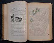 Paris souterrain : formation et composition du sol de Paris, les eaux souterraines, carrières et catacombes, les égouts, voies ferrées souterraines, métropolitain municipal, chemin de fer électrique Nord-Sud, souterrains divers, faune et flore souterraines de Paris... par GéRARDS, émile - Image 6