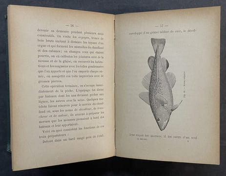 La jeune sibérienne, histoire russe - Le Mousse [2 titres en 1 volume). MAISTRE, Xavier de ; CHERVILLE, Gaspard de