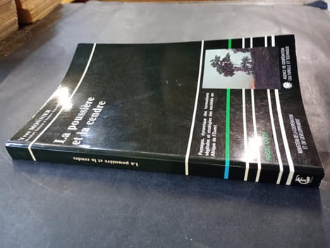 La poussiere et la cendre : paysages, dynamique des formations vegetales et strategies des societes. MONNIER, Yves