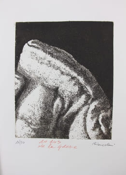 Dix ans et plus. "55 ans d'édition de la Diane Française".. Collectif & RUCKER (Gérard).