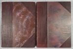 Alpes de France. Régions naturelles, massifs alpestres, préalpes et chaînes subalpines [2 volumes]. Illustrations en couleurs par Albert Doran. ...