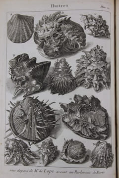 L'histoire naturelle éclaircie dans une de ses parties principales, la conchyliologie, qui traite des coquillages de mer, de riviere et de terre ; ...