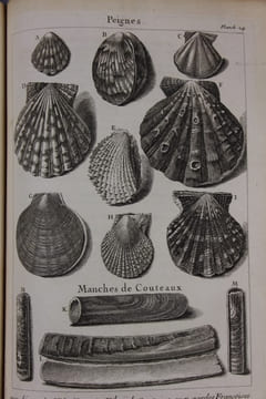 L'histoire naturelle éclaircie dans une de ses parties principales, la conchyliologie, qui traite des coquillages de mer, de riviere et de terre ; ...