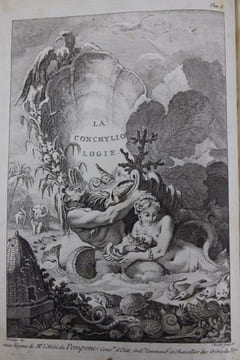 L'histoire naturelle éclaircie dans une de ses parties principales, la conchyliologie, qui traite des coquillages de mer, de riviere et de terre ; ...