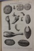 De la zoomorphose. Ou représentation des animaux a coquilles, avec leurs explications.. Dezallier d'Argenville, Antoine-Joseph]