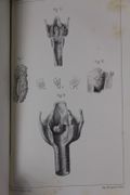 Image de livre