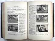 Image de livre