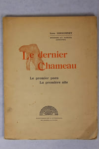 Mission au Sahara 1915-1918. Le Dernier chameau. Le premier pneu, la première aile.