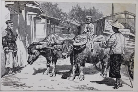 Un hiver au Cambodge. Chasses au tigre à l’éléphant et au buffle sauvage. Souvenirs d’une mission officielle 1880-1881