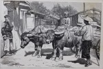 Un hiver au Cambodge. Chasses au tigre à l’éléphant et au buffle sauvage. Souvenirs d’une mission officielle 1880-1881. Boulangier (Edgar) 