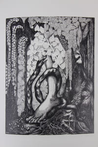Ombre. Lumière. Avec vingt-sept blancs et noirs dessinés par Manfredo Borsi.