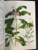 Plantes m&eacute;dicinales de Madagascar. Boiteau (Pierre) ; Allorge-Boiteau (Lucile) ; Razafinsalama (Jean-Martin ) (Pr&eacute;face)