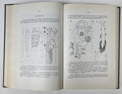 Biologie des eaux souterraines littorales et continentales