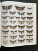 Guide des papillons nocturnes de France: Plus de 1620 espèces décrites et illustrées. Bachelard (Philippe) ; Bérard (Roland) ; Colomb   (Claude) ; ...