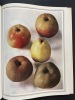 Les plus beaux fruits de France d’hier et d’aujourd’hui. Delbard Georges