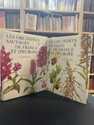 Les orchidées sauvage de France et d’Europe par Landwehr J - Image 1