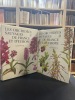 Les orchidées sauvage de France et d’Europe. Landwehr J