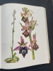 Les orchidées sauvage de France et d’Europe. Landwehr J