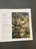 Le livre des baies. Fruits sauvages pour parcs et jardins. Belder Jelena de ; Misonne Xavier