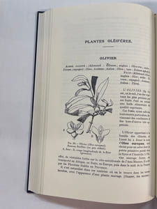 Les plantes alimentaires chez tous les peuples et à travers les âges - Histoire, utilisation, culture - Volume III : plantes à épices, à aromates, à condiments