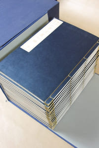 Manga : the Sketchbooks of Hokusai
