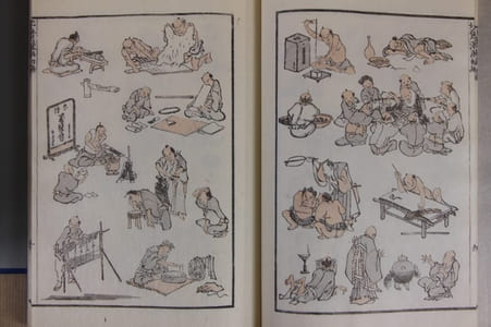 Manga : the Sketchbooks of Hokusai