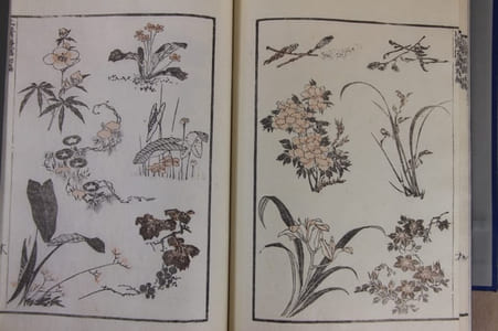 Manga : the Sketchbooks of Hokusai