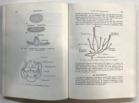 Biologie animale. Zoologie [2 volumes]. Avant-propos de M. Albert Obré. Préface de M. F. Campan. BOUé, Henry ; CHANTON, Robert