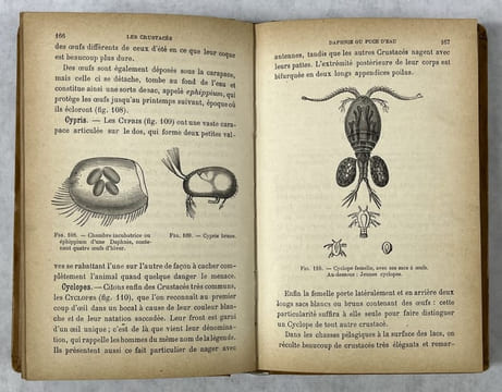 L'aquarium d'eau douce et ses habitants, animaux et végétaux. COUPIN, Henri