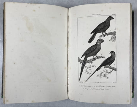 Oeuvres complètes de Buffon [22 tomes en 21 volumes]. Mises en ordre et précédées d'une notice historique par M. A. Richard,... Buffon, Georges-Louis ...