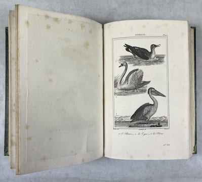 Oeuvres complètes de Buffon [22 tomes en 21 volumes]. Mises en ordre et précédées d'une notice historique par M. A. Richard,... Buffon, Georges-Louis ...