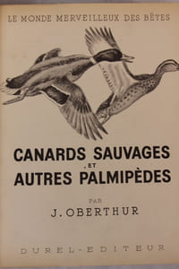 Canards sauvages et autres palmipèdes