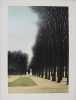 La Statue. Jardin du Luxembourg.  Lithographie signée, justifiée 4/150. Jacques DEPERTHES