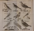 Aviceptologie française. Ou traité général de toutes les ruses dont on peut se servir pour prendre les oiseaux; avec une collection considérable de ...