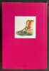 Shoes Fashion and Fantasy. Preface by Manolo Blahnik. McDOWELL, Colin