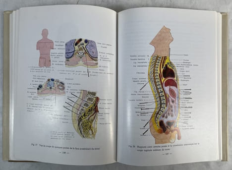 Atlas anatomique des points d’acupuncture. Groupe coopératif de l’Institut de médecine du Shandong et de l’Institut de médecine traditionnelle ...