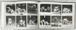 Tochi Nishiki et Kasugano autobiographie - 栃錦・春日野自伝 . KIYOTAKA, Kasugano