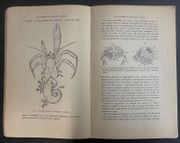 Image de livre